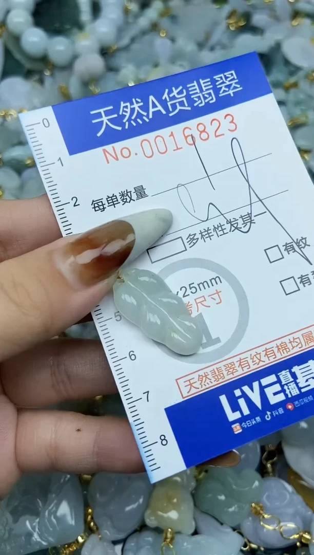 【闪购商品】翡翠颈饰未镶嵌天然A货翡翠