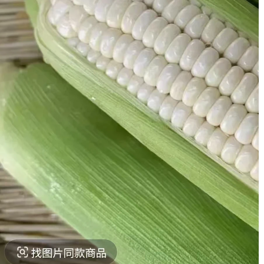 新鲜现摘白甜糯玉米口感软糯香甜带壳当季蔬菜玉米棒