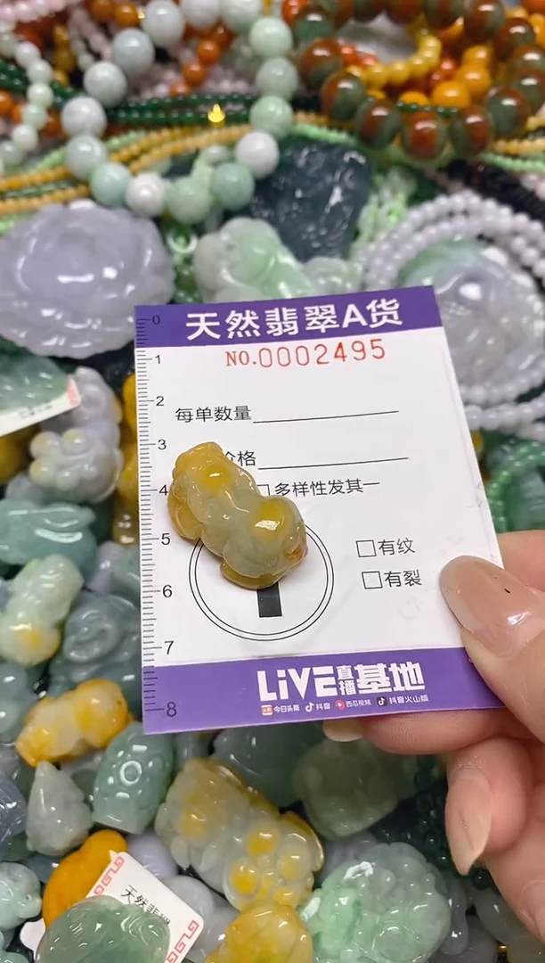 颈饰未镶嵌翡翠闪购0002495