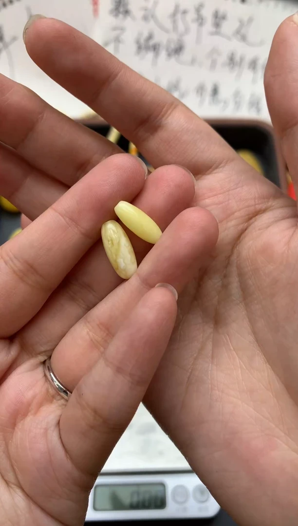 【闪购商品】蜜蜡珠宝奇石未镶嵌023琥珀蜜蜡 两个一起发