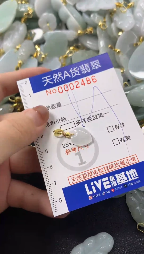 颈饰未镶嵌翡翠天然A货翡翠