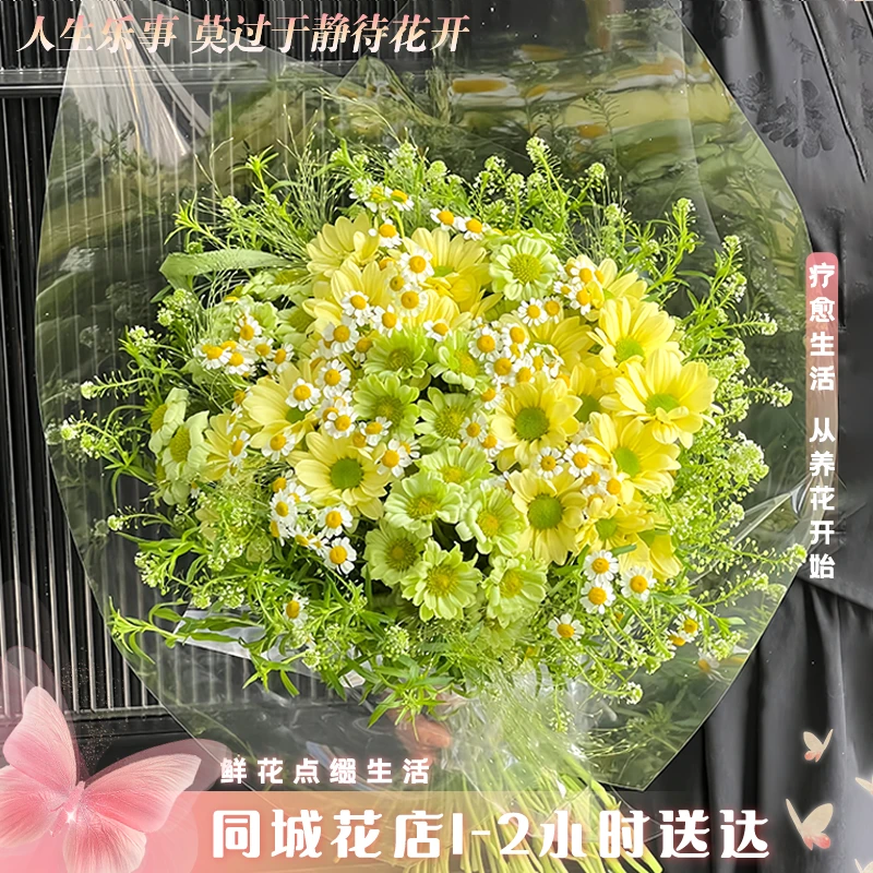 2单包邮【小时达家居花套餐·三冬四夏】森系混搭小雏菊鲜花家居鲜切花·小时达花店家居花