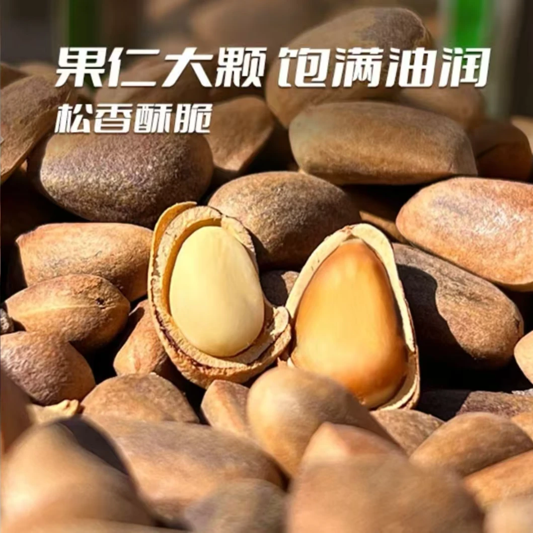 东北新货笨炒开口松子土特产手剥松子