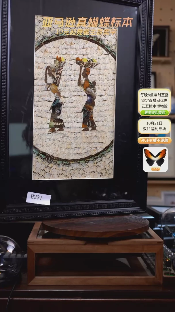 蝴蝶翅膀蝶翅画竞拍h231