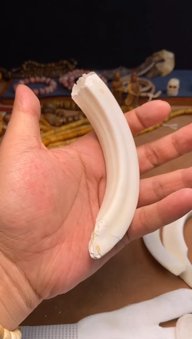 其他牛骨杂件661-瑕疵牙吊坠