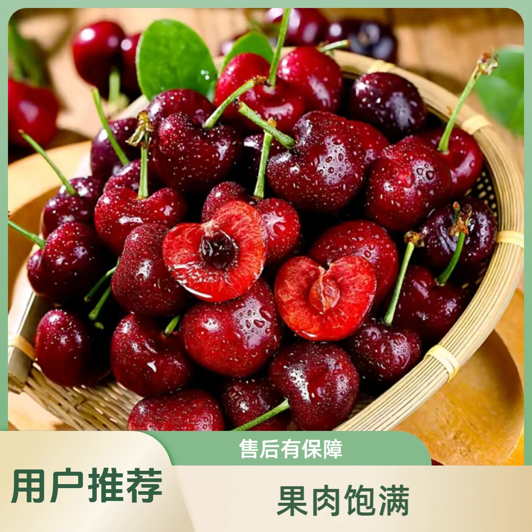 智利空运新鲜桑提娜车厘子2JD-4JD包邮内附果径卡800g【WYSYZ6】