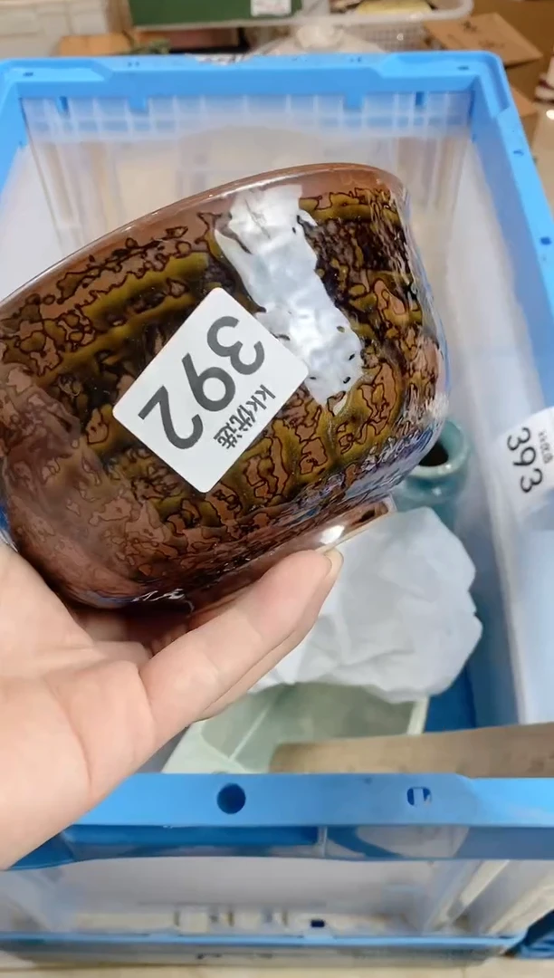 【闪购商品】瓷片392定向 FDJ定向 FDJ