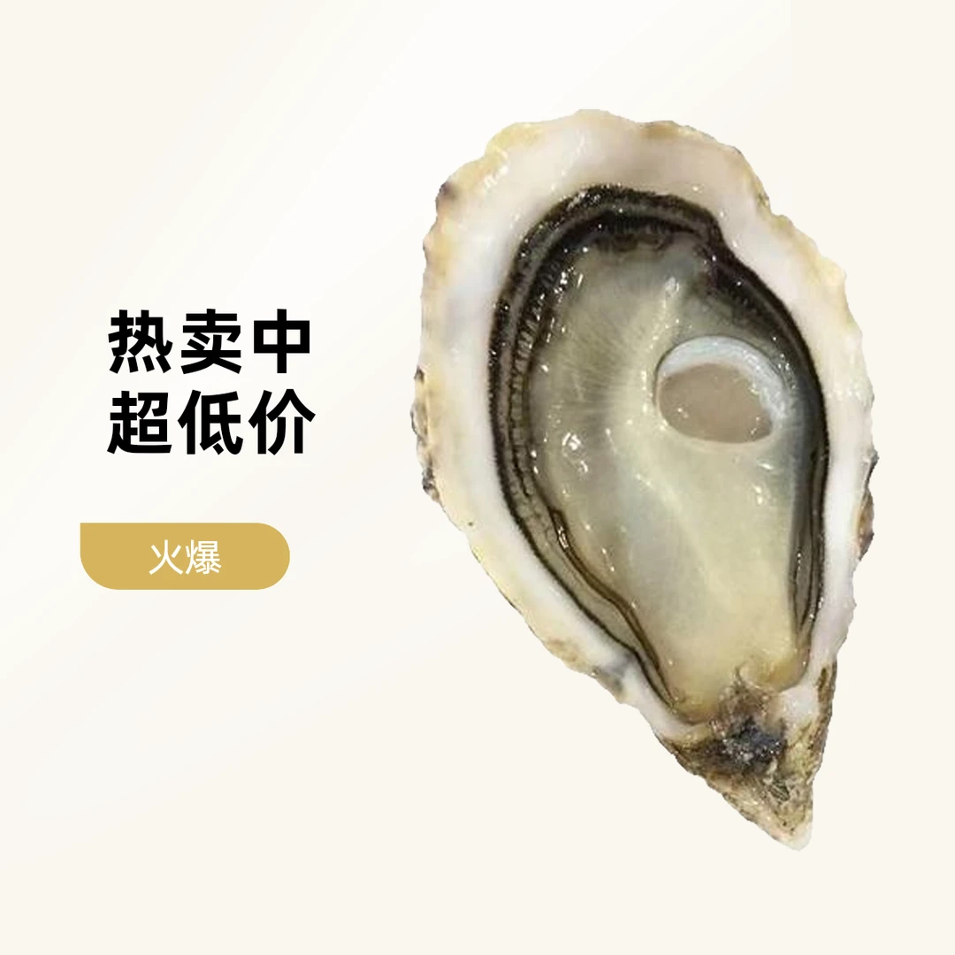生蚝【鲜活-海产-4+】