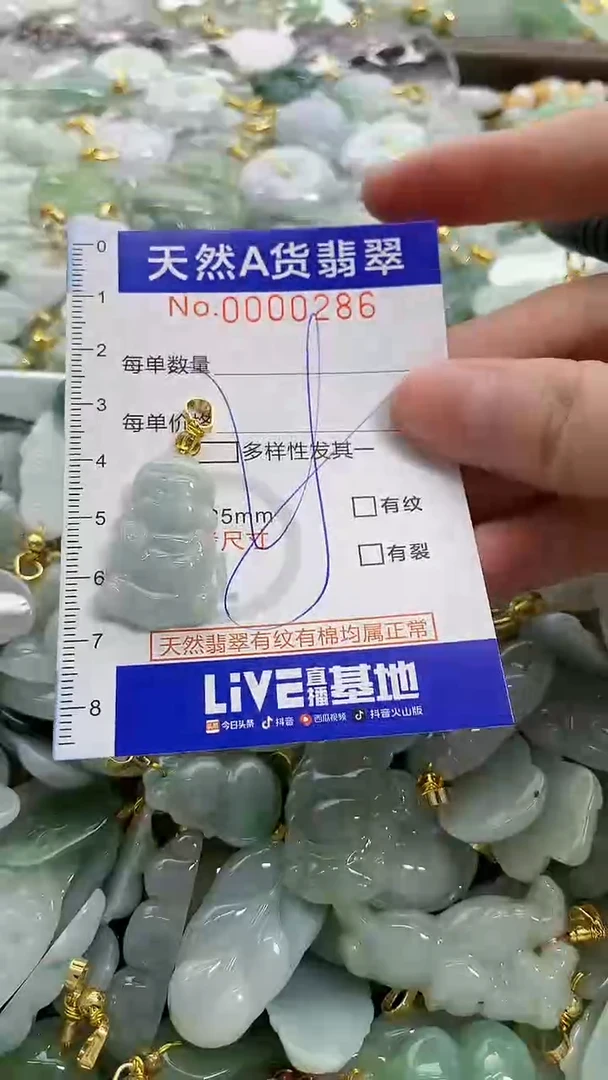 颈饰未镶嵌翡翠纯天然a货翡翠