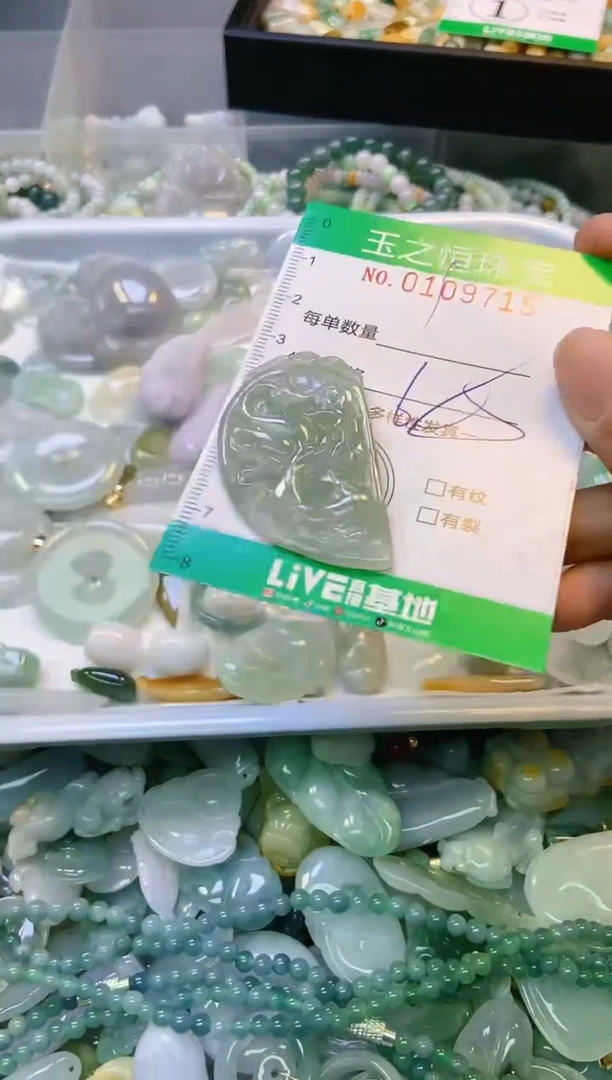 翡翠未镶嵌颈饰闪购0109715