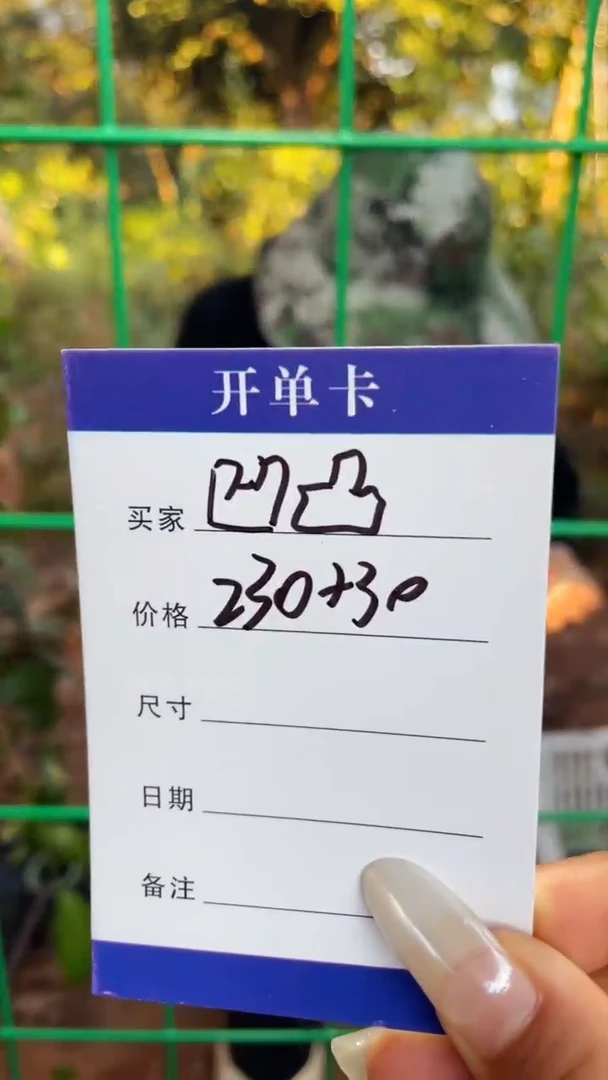 非金属无凹**i手镯下单链接秒拍秒付