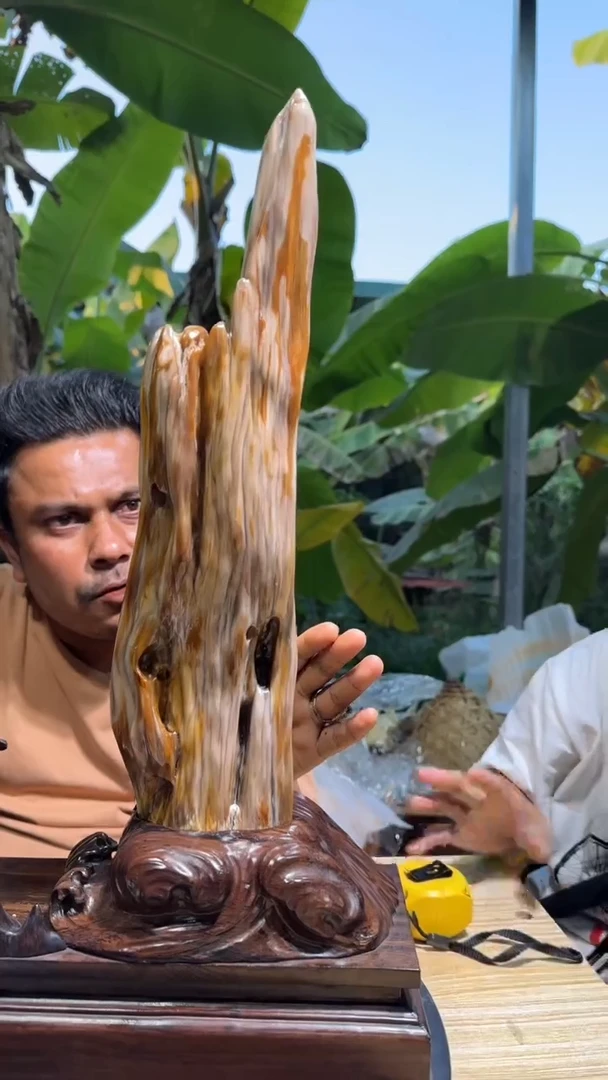 【闪购商品】硅化玉珠宝奇石未镶嵌拍一发一