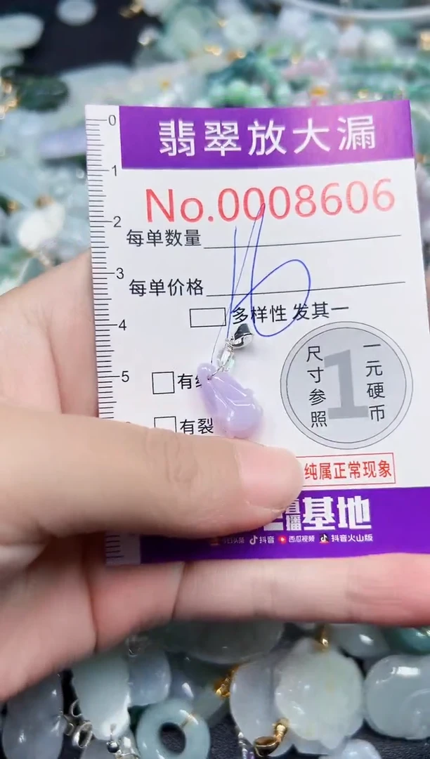 颈饰未镶嵌翡翠8606