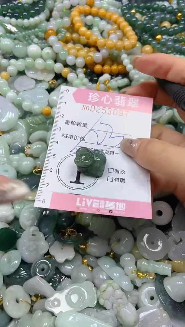 翡翠未镶嵌颈饰闪购0253097多样性发其一