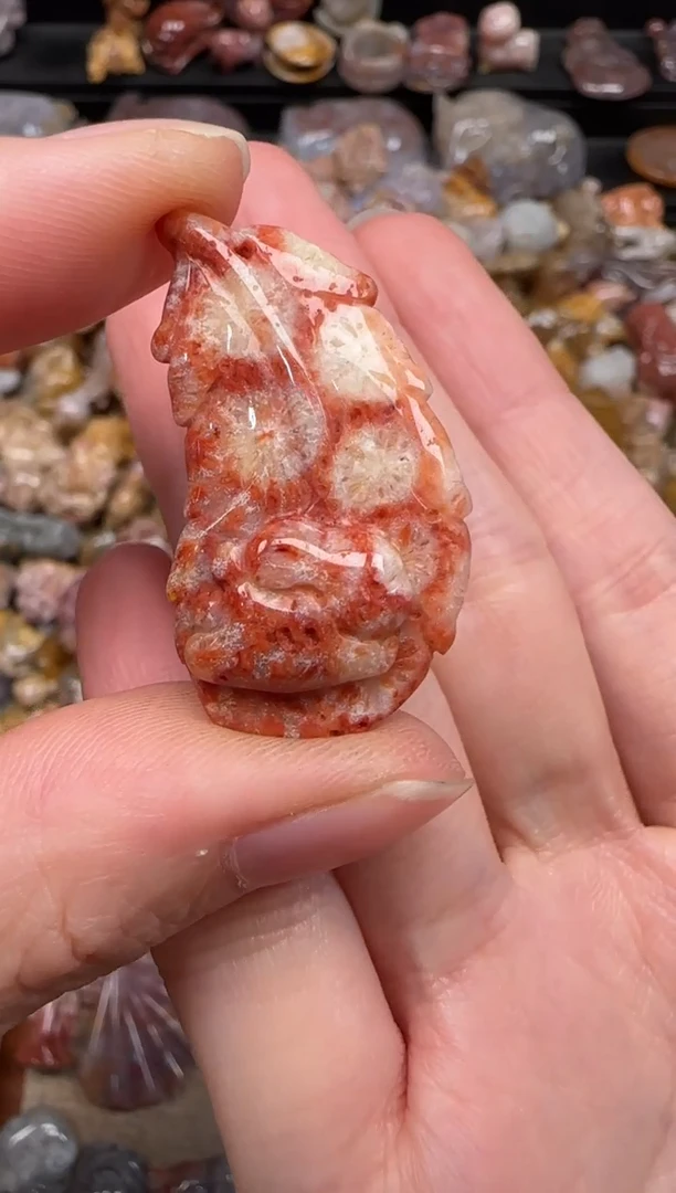 硅化珊瑚(珊瑚玉)未镶嵌颈饰335