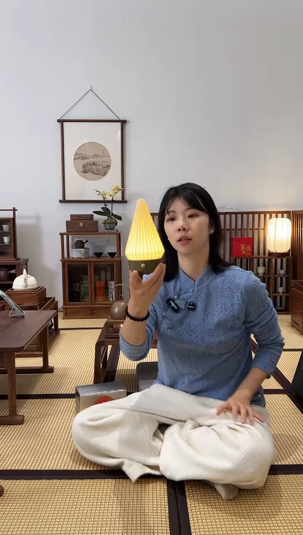 塑料一个云杉小夜灯