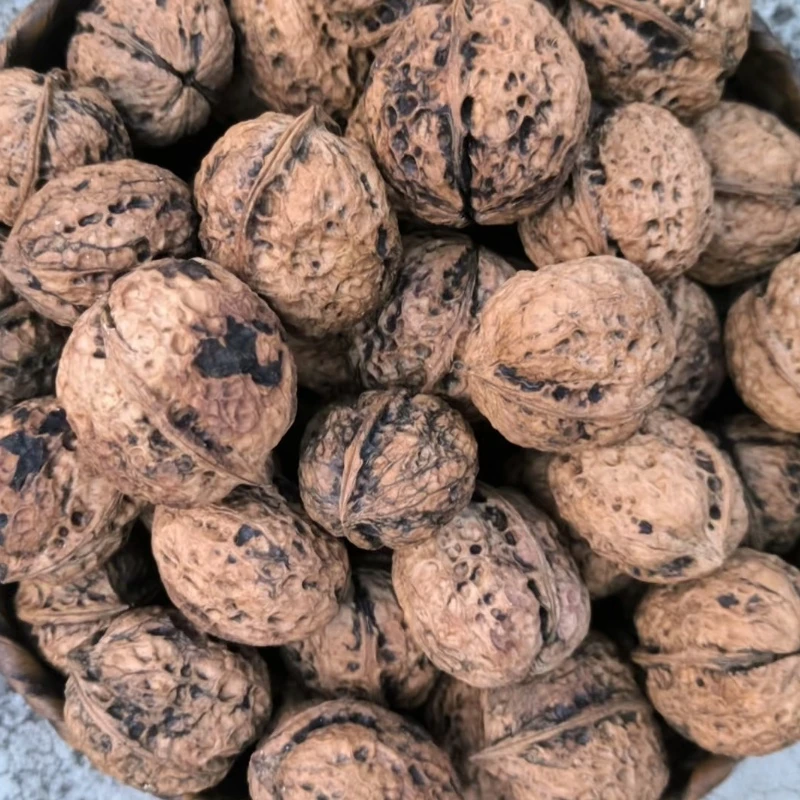 云南特产老树薄皮核桃古树核桃（福利品）