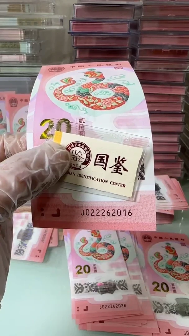 【闪购商品】塑料022262016-蛇钞单张