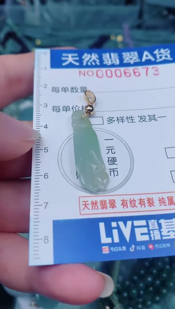 颈饰未镶嵌翡翠00006673