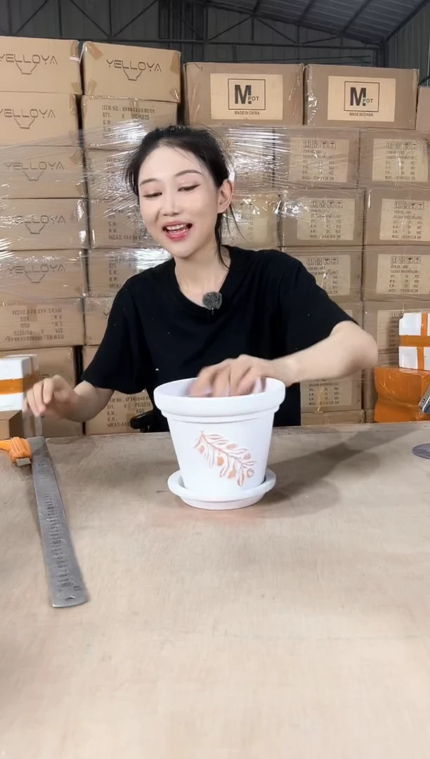 红陶白浮雕带托盘16x14