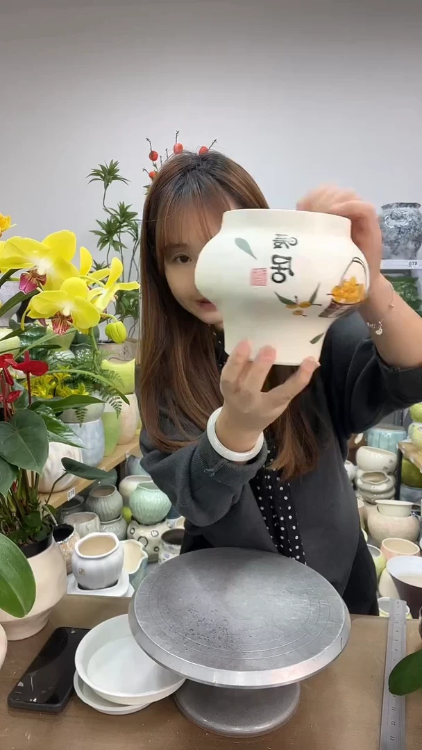 11.25陶瓷花盆直播链接高   15    口 12