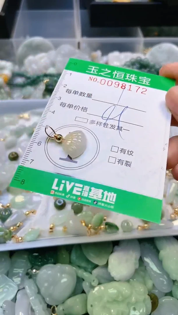 翡翠未镶嵌颈饰闪购0098172
