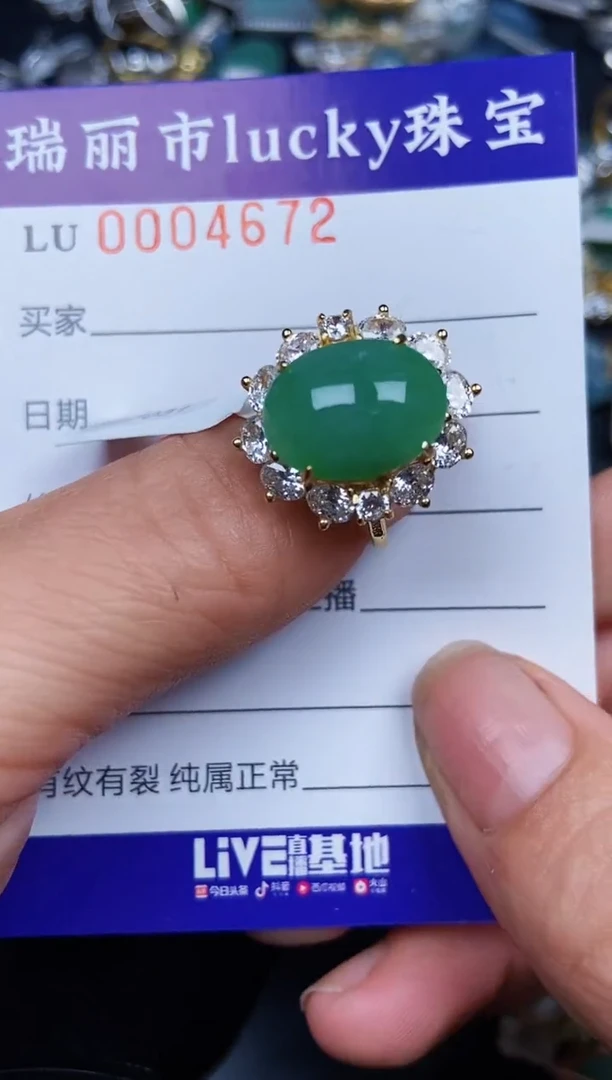 翡翠银S925镶嵌颈饰4672