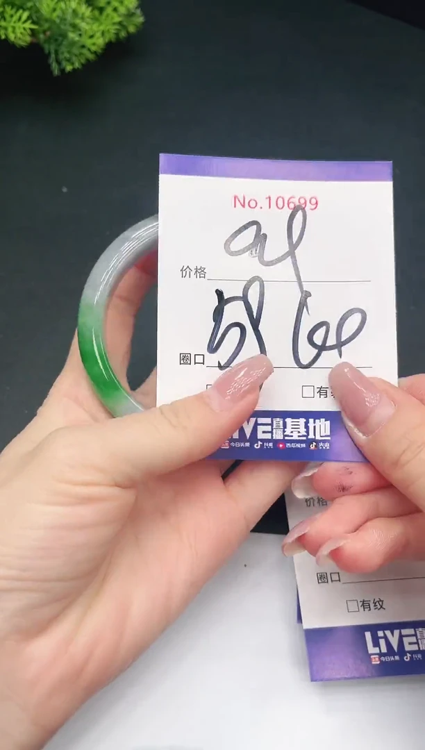 未镶嵌手镯翡翠10699