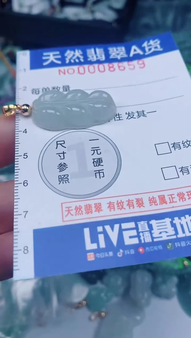 颈饰未镶嵌翡翠00008659