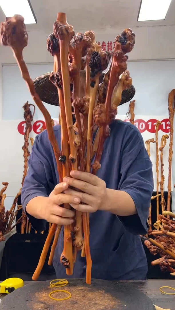 黑果木其他黑果木520