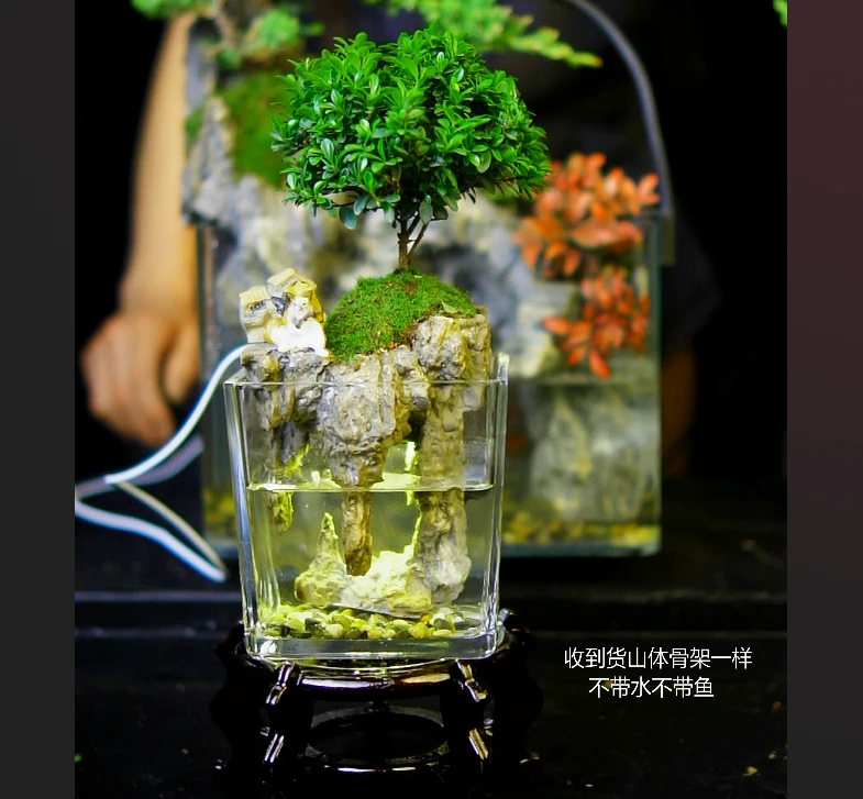 12*12斗鱼缸峰崖水境