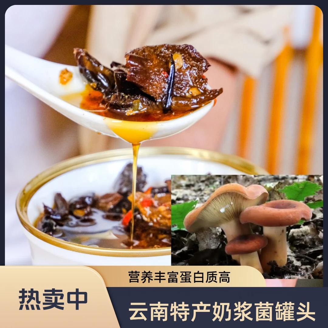 正宗奶浆菌罐头云南特产拌面拌饭营养美味又下饭