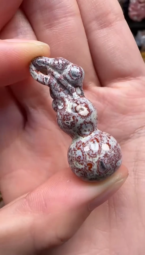 颈饰未镶嵌硅化珊瑚（珊瑚玉）562