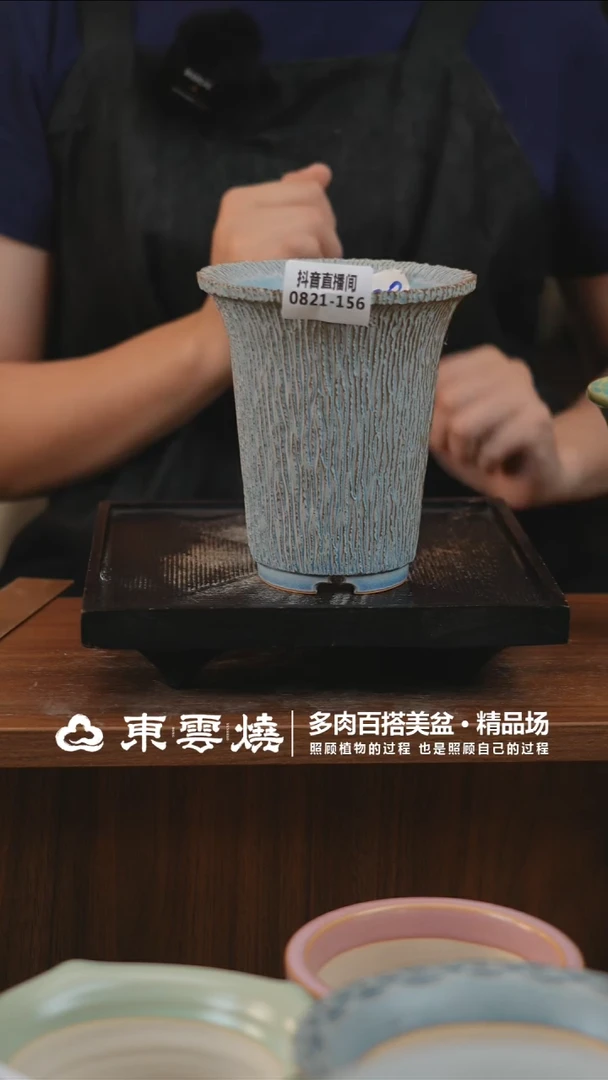 0821-156D万象内口9