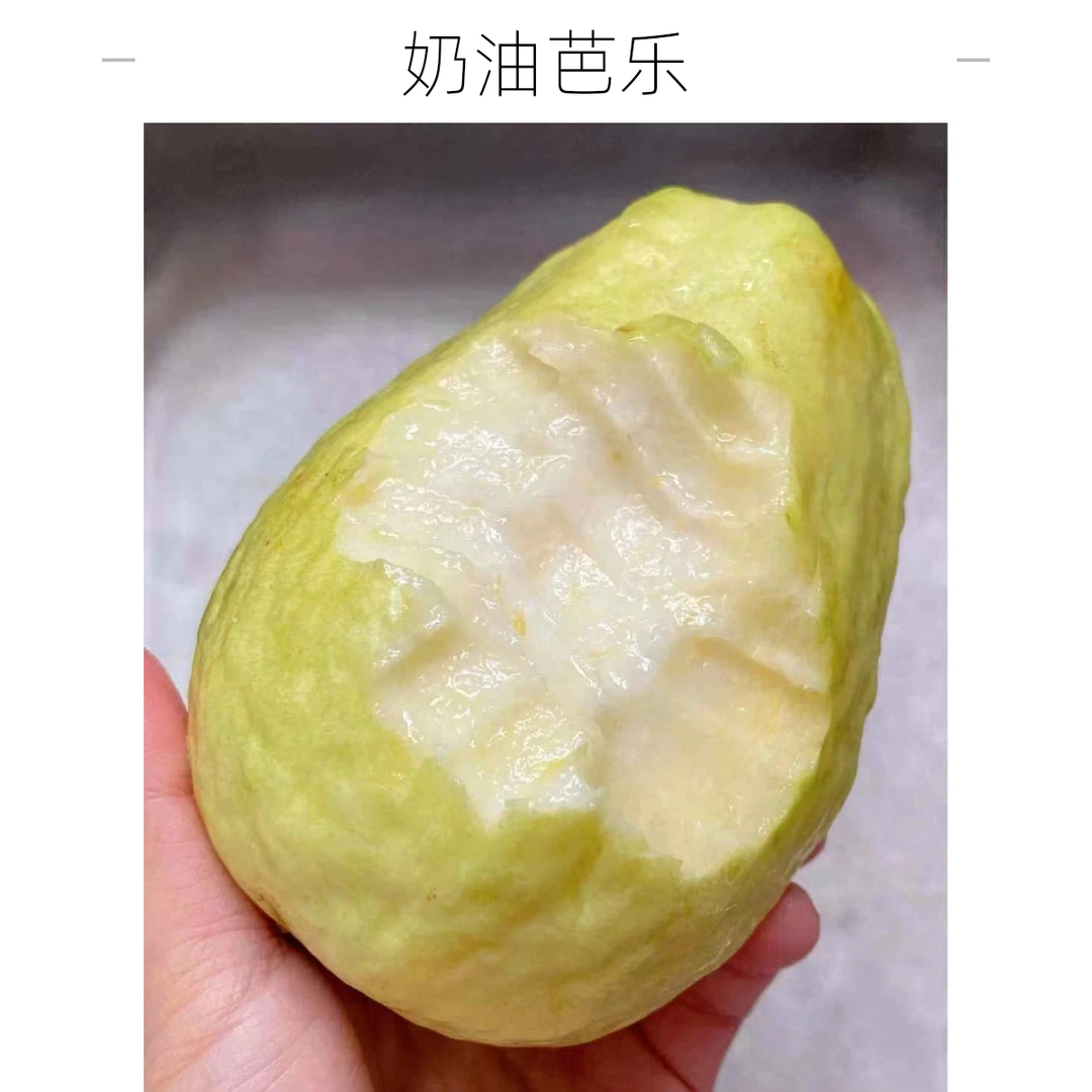 奶油芭乐果1箱3斤左右