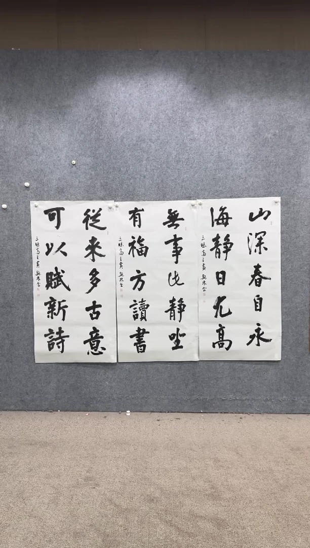 【闪购商品】书法pmw不二轩旗舰店书法HXL10