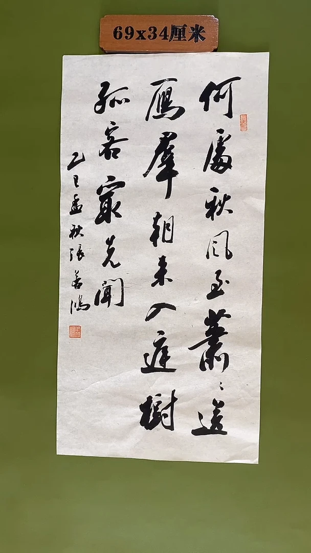 书法书法 张若鸿 尺寸69cm*34cm