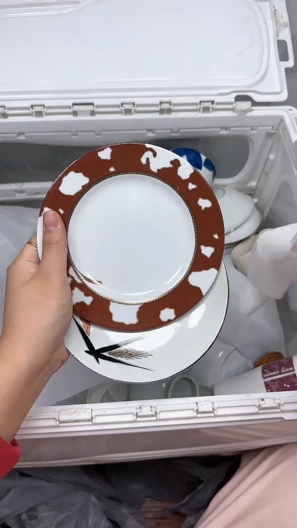 【闪购商品】1563回流瓷器默认微瑕，18.8包邮