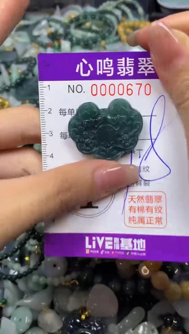 翡翠未镶嵌颈饰闪购00670