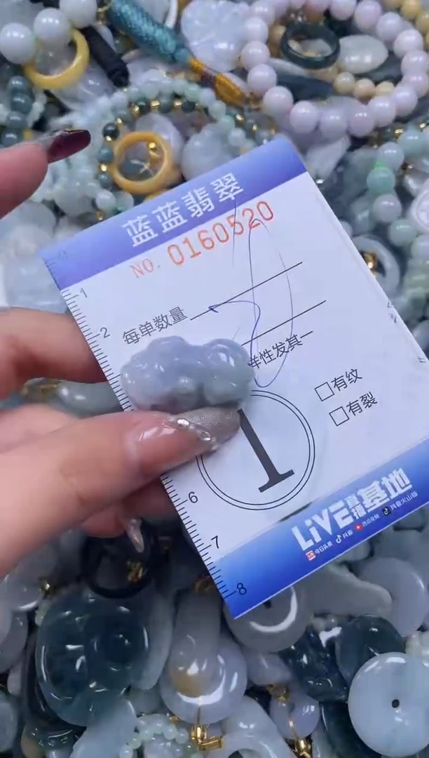 【闪购商品】翡翠颈饰未镶嵌闪购0160520多样性发其一