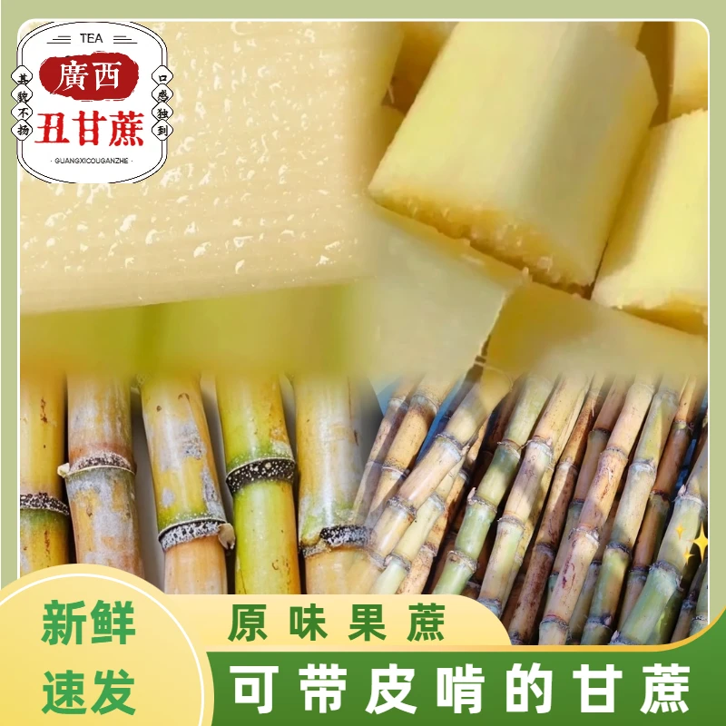 【广西丑甘蔗】 正宗青黄皮原味果蔗