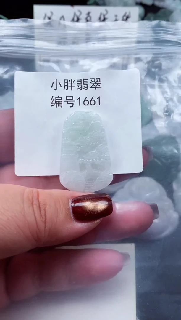 颈饰未镶嵌翡翠缅甸天然A货翡翠1661