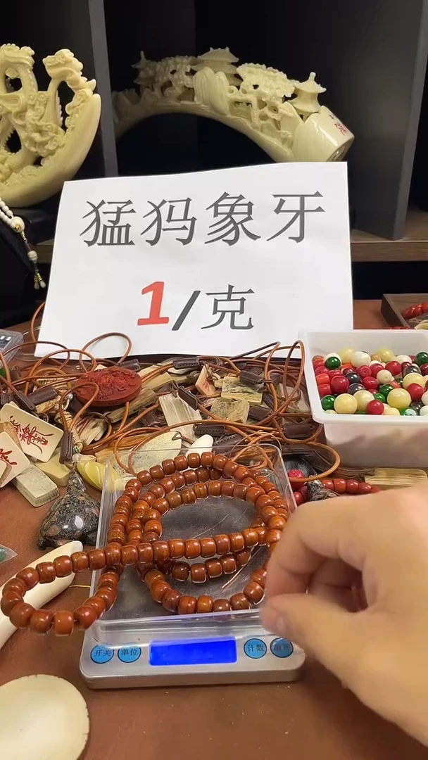 猛犸长牙五哥10*8老型单圈