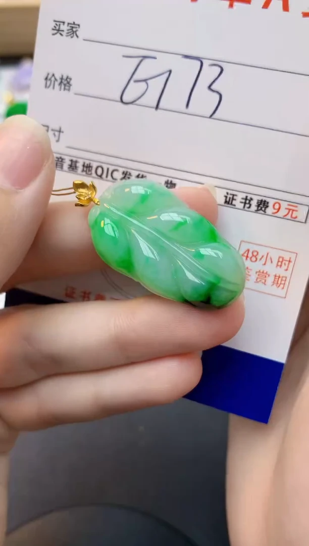 颈饰18K金镶嵌翡翠天然缅甸A货翡翠百元以上9元证书费自理