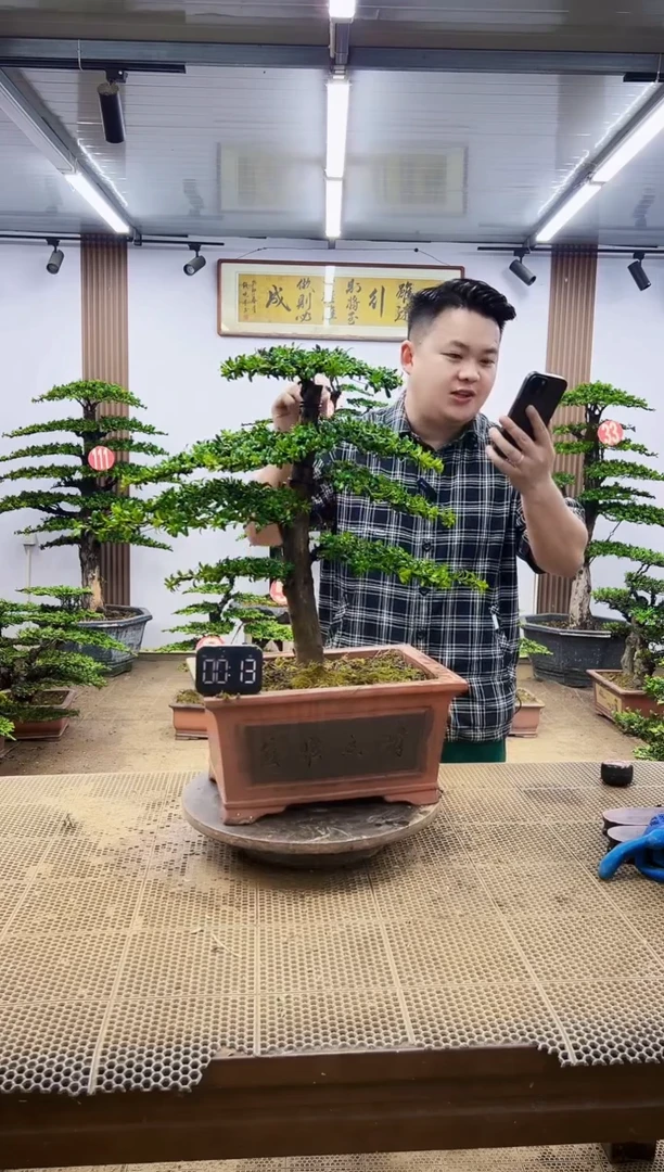 无花朵一物一拍，所见即所得