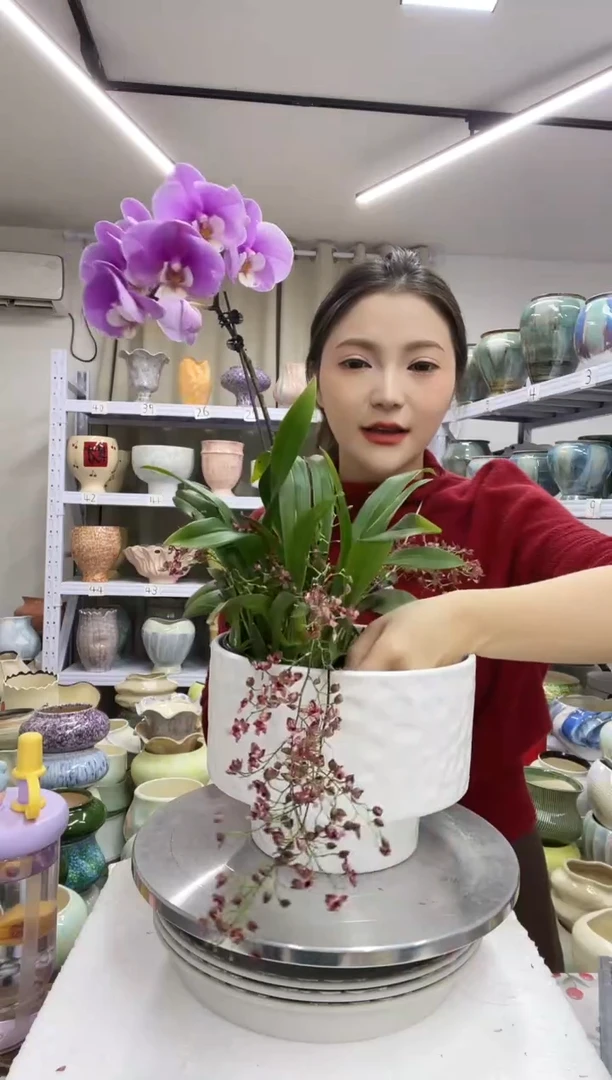 【1.4】花盆尺寸高：15 口：19