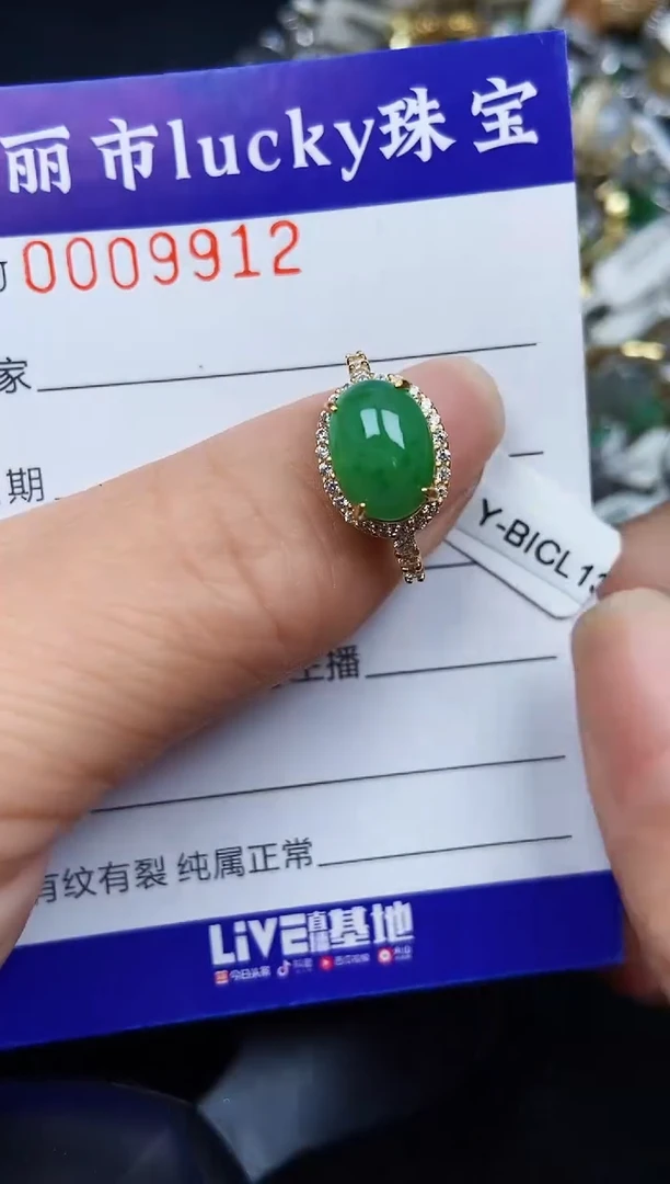 翡翠银S925镶嵌颈饰9912