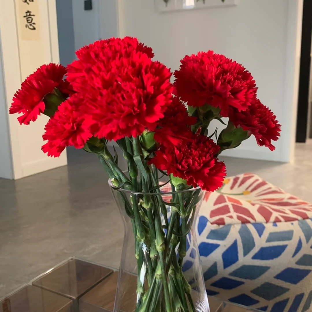 【红色康乃馨10支】任丘自提9.9米