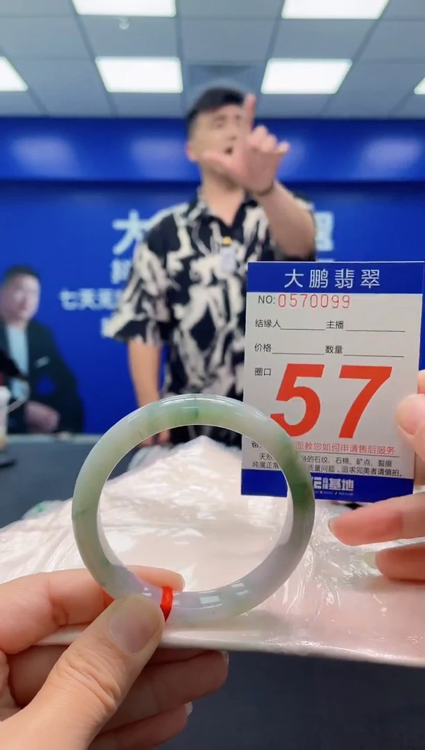 未镶嵌手镯翡翠AAAAAAAAA
