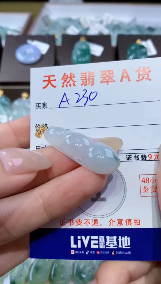 颈饰未镶嵌翡翠 天然翡翠A货挂件